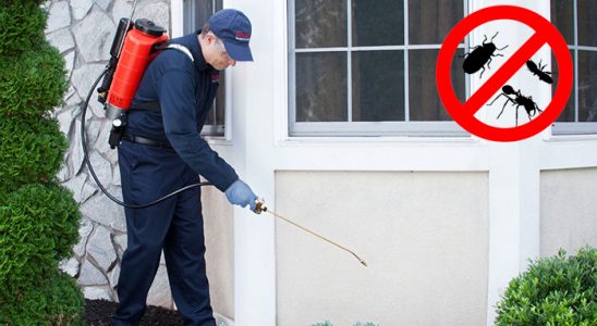 Arnavutköy Sivrisinek İlaçlama böcek ilaçlama ve haşere kontrolü — ilaclama-tr.com